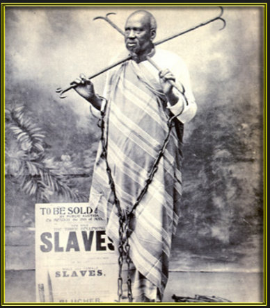 Slave 23